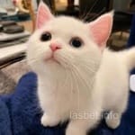 Avatar de José Manuel Cárdenas